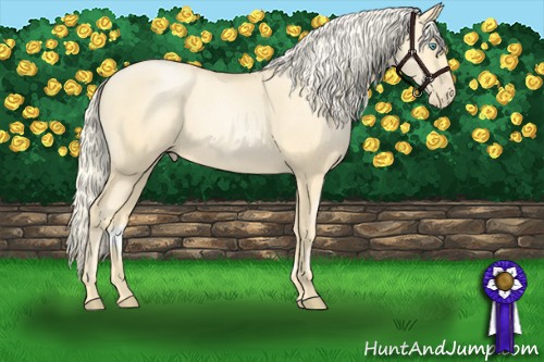Horse Color:Palomino Pearl Sabino 