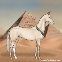 Horse Color:Palomino Pearl Sabino 