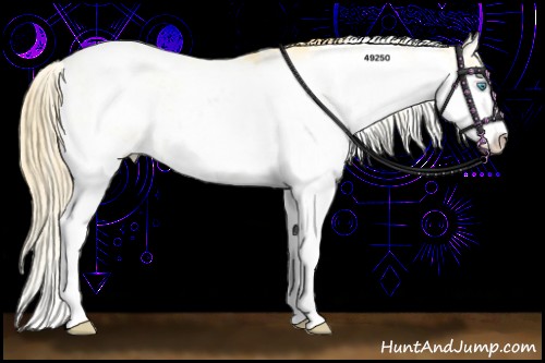 Horse Color:Buckskin Pearl Sabino 