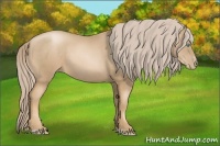 Horse Color:Chocolate Palomino Pearl Sabino