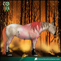 Horse Color:Void Buckskin Pearl Sabino 