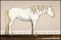 Horse Color:Buckskin Roan Pearl Sabino 