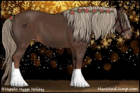 Horse Color:Liver Chestnut Appaloosa 