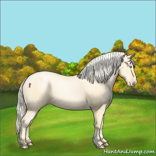 Horse Color:Palomino Pearl Sabino 