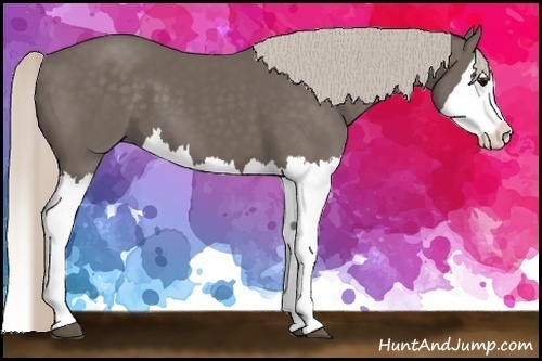 Horse Color:Silver Black Splash 