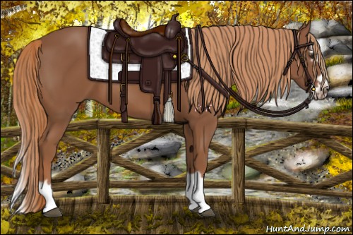Horse Color:Chestnut Splash Frame 