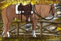 Horse Color:Chestnut Splash Frame