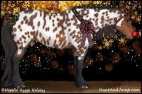 Horse Color:Bay Near Leopard 