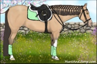 Horse Color:Amber Champagne