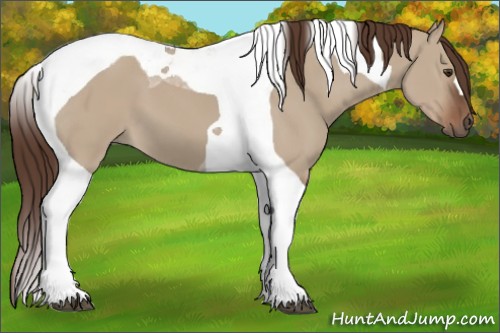 Horse Color:Liver Red Dun Tobiano 