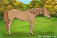 Horse Color:Chestnut Frame