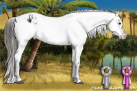 Horse Color:Brown Tobiano Varnish Rabicano