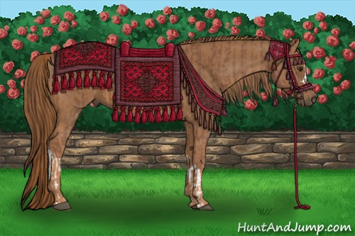 Horse Color:Chestnut and Chestnut