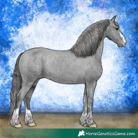 Horse Color:Platinum Black Varnish Rabicano 