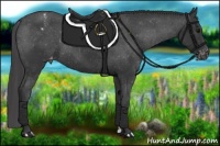 Horse Color:Black Appaloosa Rabicano 