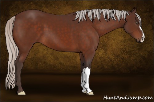 Horse Color:Silver Brown 