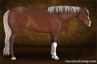 Horse Color:Silver Brown