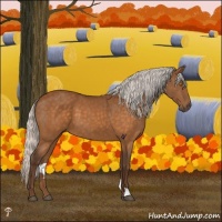 Horse Color:Silver Buckskin Mushroom 