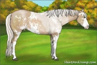 Horse Color:Silver Black Pearl Sabino 