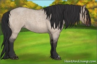 Horse Color:Brown Roan Dun 