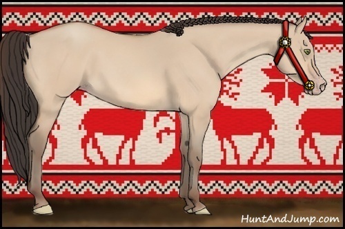 Horse Color:Amber Champagne Dun 