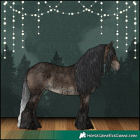 Horse Color:Brown Ice Dun