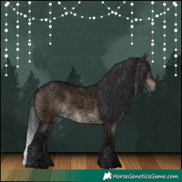 Horse Color:Brown Ice Dun 