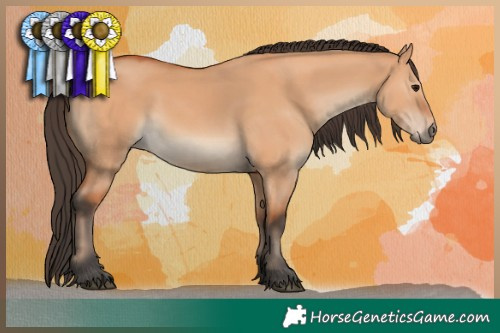 Horse Color:Bay Dun