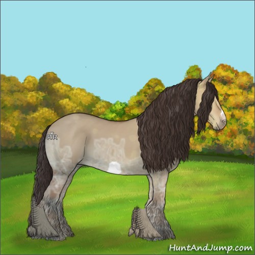 Horse Color:Bay Ice Dun 
