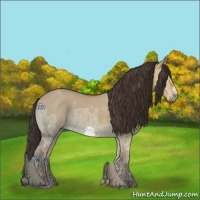 Horse Color:Bay Ice Dun 
