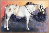 Horse Color:White Spotted Buckskin Dun 