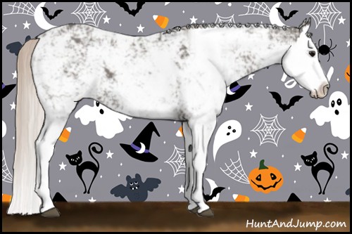 Horse Color:Silver Black Sabino Splash 