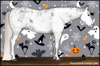 Horse Color:Silver Black Sabino Splash 
