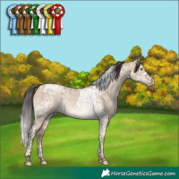 Horse Color:Sable Champagne Dun Tobiano Brindle