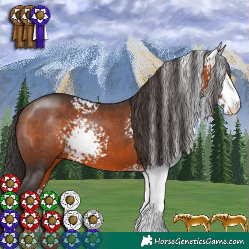 Horse Color:White Spotted Brown 