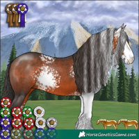 Horse Color:White Spotted Brown 