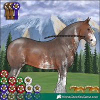 Horse Color:White Spotted Brown 