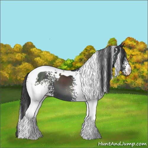 Horse Color:White Spotted Black Tobiano