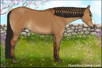 Horse Color:Gray Bay Dun 