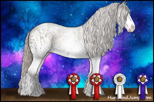 Horse Color:White Spotted Silver Black Sabino