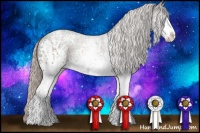 Horse Color:White Spotted Silver Black Sabino 