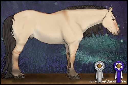 Horse Color:Bay Dun 