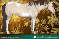 Horse Color:Amber Champagne Dun Tobiano Frame Brindle 