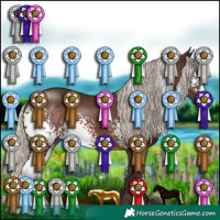 Horse Color:Gray White Spotted Silver Black Sabino