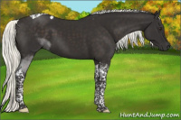 Horse Color:Liver Chestnut Mushroom Tobiano 
