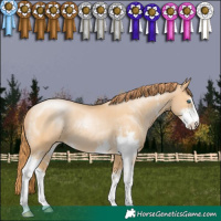 Horse Color:Buckskin Pearl Sabino 