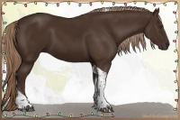 Horse Color:Liver Chestnut Tobiano 