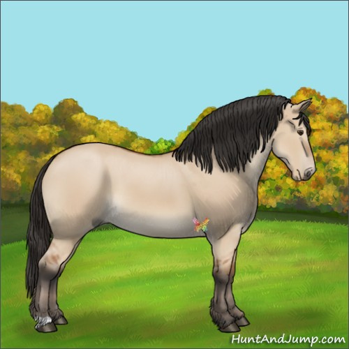 Horse Color:Bay Dun