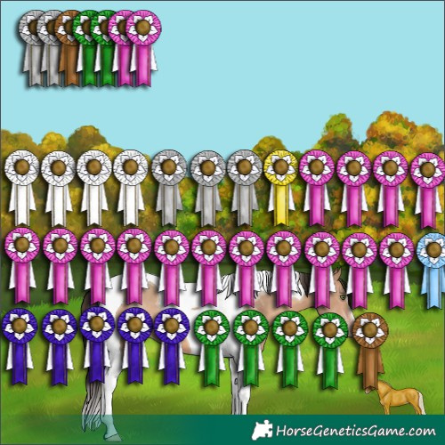 Horse Color:Sable Champagne Tobiano