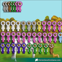 Horse Color:Sable Champagne Tobiano 